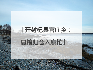 开封杞县官庄乡：夏粮归仓入廪忙