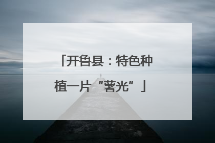 开鲁县：特色种植一片“薯光”