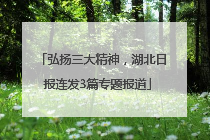 弘扬三大精神，湖北日报连发3篇专题报道