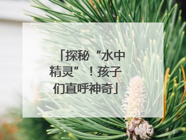探秘“水中精灵”！孩子们直呼神奇