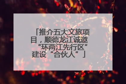 推介五大文旅项目，顺德龙江诚邀“环两江先行区”建设“合伙人”