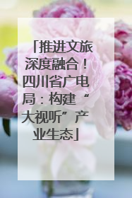 推进文旅深度融合！四川省广电局：构建“大视听”产业生态