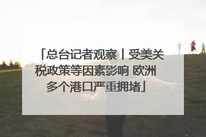 总台记者观察丨受美关税政策等因素影响 欧洲多个港口严重拥堵