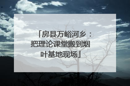 房县万峪河乡：把理论课堂搬到烟叶基地现场