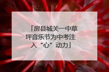 房县城关一中草坪音乐节为中考注入“心”动力