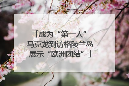 成为“第一人” 马克龙到访格陵兰岛展示“欧洲团结”