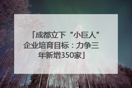 成都立下“小巨人”企业培育目标：力争三年新增350家
