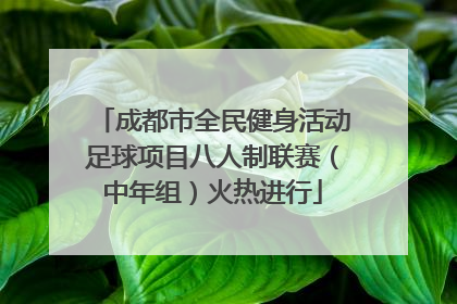成都市全民健身活动足球项目八人制联赛（中年组）火热进行