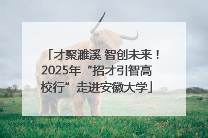 才聚濉溪 智创未来！2025年“招才引智高校行”走进安徽大学
