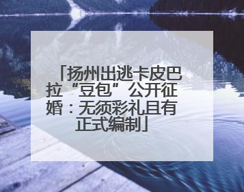 扬州出逃卡皮巴拉“豆包”公开征婚：无须彩礼且有正式编制