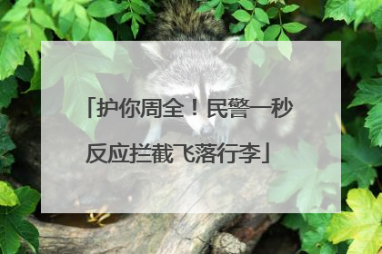 护你周全！民警一秒反应拦截飞落行李