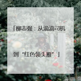柳志强：从滴滴司机到“红色领头雁”