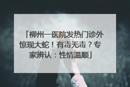 柳州一医院发热门诊外惊现大蛇！有毒无毒？专家辨认：性情温顺