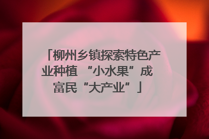 柳州乡镇探索特色产业种植 “小水果”成富民“大产业”