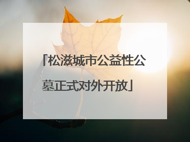 松滋城市公益性公墓正式对外开放