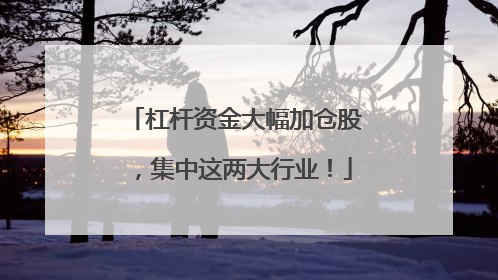 杠杆资金大幅加仓股，集中这两大行业！