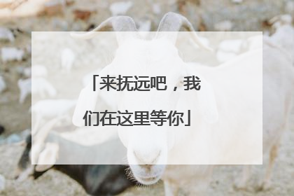 来抚远吧，我们在这里等你