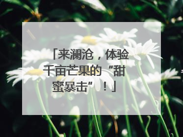 来澜沧，体验千亩芒果的“甜蜜暴击”！