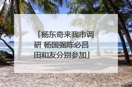 杨东奇来我市调研 杨国强陈必昌田和友分别参加