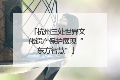 杭州三处世界文化遗产保护展现“东方智慧”