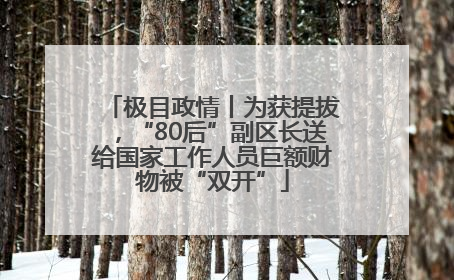 极目政情丨为获提拔，“80后”副区长送给国家工作人员巨额财物被“双开”