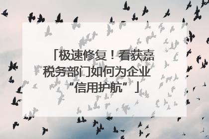 极速修复！看获嘉税务部门如何为企业“信用护航”