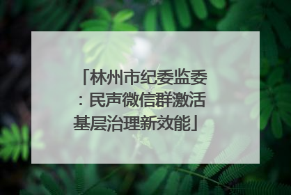 林州市纪委监委：民声微信群激活基层治理新效能