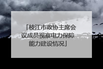 枝江市政协主席会议成员视察电力保障能力建设情况