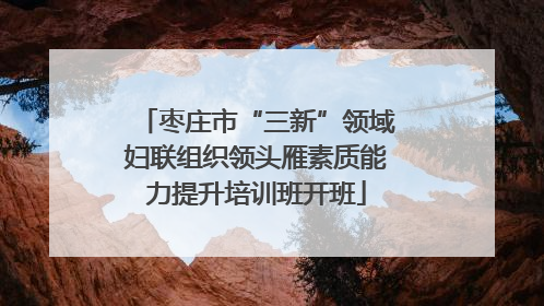 枣庄市“三新”领域妇联组织领头雁素质能力提升培训班开班