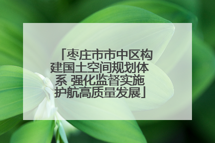枣庄市市中区构建国土空间规划体系 强化监督实施护航高质量发展