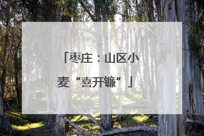 枣庄：山区小麦“喜开镰”