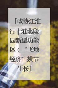 政协江淮行｜淮北段园新型功能区：“飞地经济”拔节生长