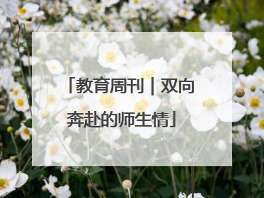 教育周刊｜双向奔赴的师生情