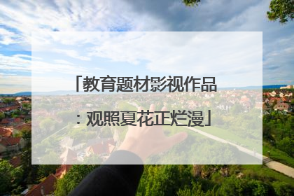 教育题材影视作品：观照夏花正烂漫