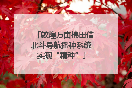 敦煌万亩棉田借北斗导航播种系统实现“精种”