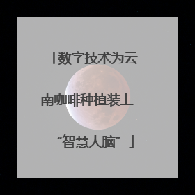 数字技术为云南咖啡种植装上“智慧大脑”