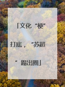 文化“梗”打底，“苏超”踢出圈
