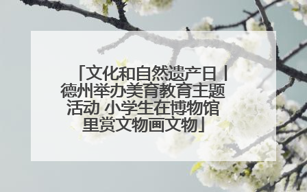 文化和自然遗产日丨德州举办美育教育主题活动 小学生在博物馆里赏文物画文物