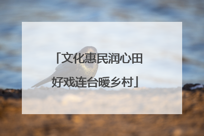 文化惠民润心田 好戏连台暖乡村