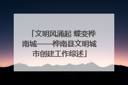 文明风涌起 蝶变桦南城——桦南县文明城市创建工作综述