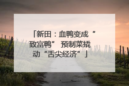 新田：血鸭变成“致富鸭” 预制菜撬动“舌尖经济”