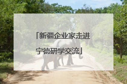 新疆企业家走进宁德研学交流