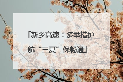 新乡高速：多举措护航“三夏”保畅通
