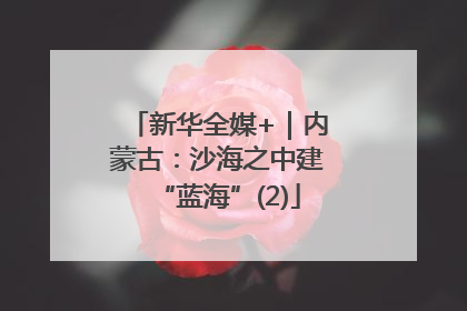 新华全媒+｜内蒙古：沙海之中建“蓝海”(2)
