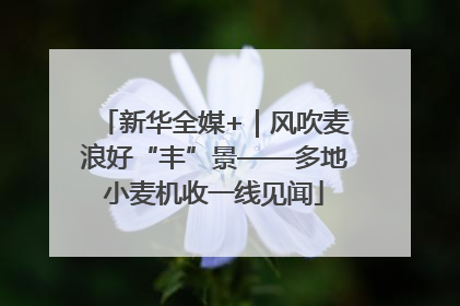 新华全媒+｜风吹麦浪好“丰”景——多地小麦机收一线见闻