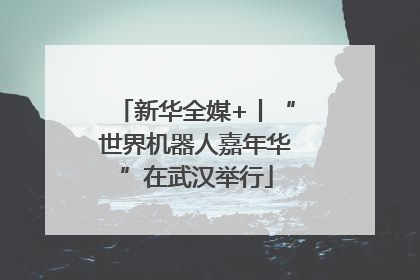 新华全媒+丨“世界机器人嘉年华”在武汉举行