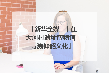 新华全媒+丨在大河村遗址博物馆寻溯仰韶文化