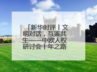 新华时评丨文明对话，互鉴共生——中欧人权研讨会十年之路的深刻启示