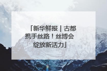 新华鲜报｜古都携手丝路！丝博会绽放新活力