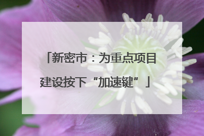 新密市：为重点项目建设按下“加速键”